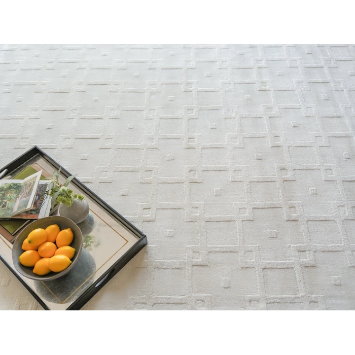 Exquisite Rugs Camora Modern White 67522X3 2ft.X3ft. Rect. Rug