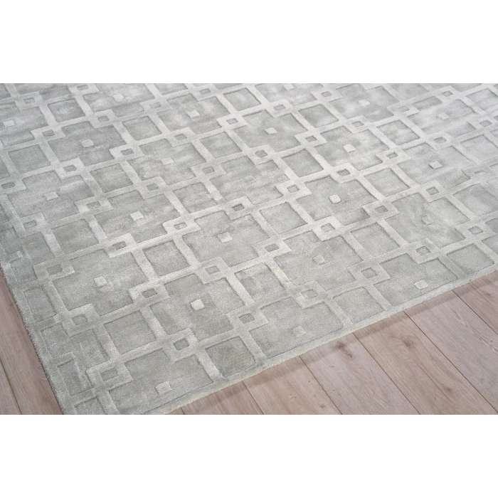 Exquisite Rugs Camora Modern Light Silver 67532X3 2ft.X3ft. Rect. Rug