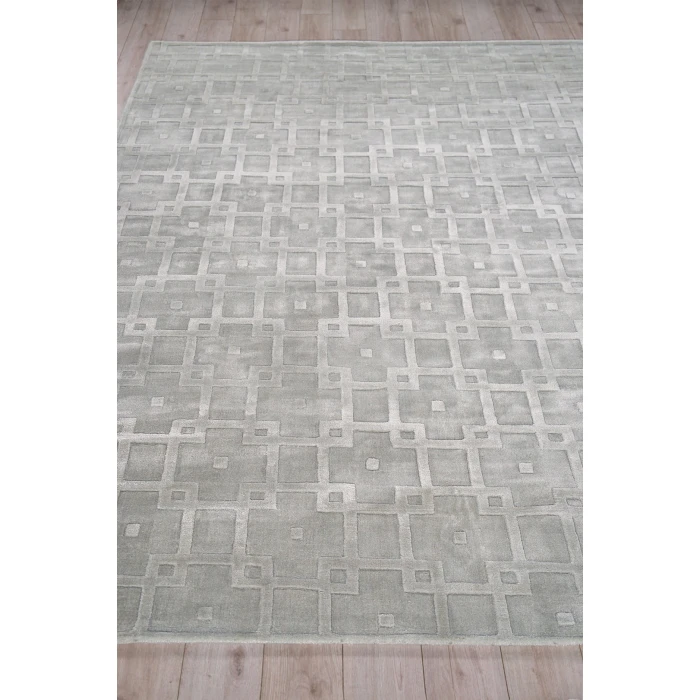 Exquisite Rugs Camora Modern Light Silver 67532X3 2ft.X3ft. Rect. Rug