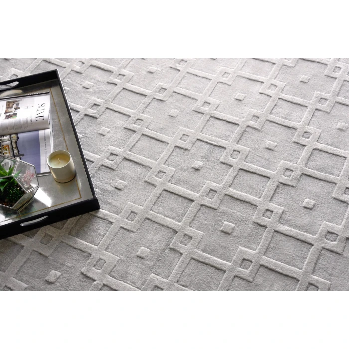 Exquisite Rugs Camora Modern Light Silver 67532X3 2ft.X3ft. Rect. Rug