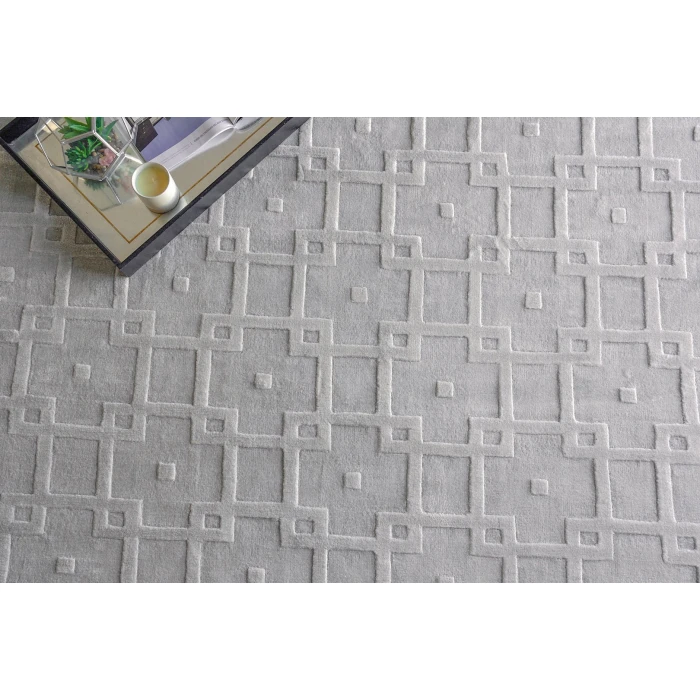 Exquisite Rugs Camora Modern Light Silver 67532X3 2ft.X3ft. Rect. Rug
