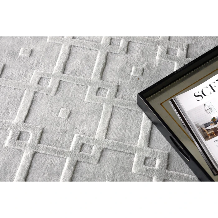 Exquisite Rugs Camora Modern Light Silver 67532X3 2ft.X3ft. Rect. Rug