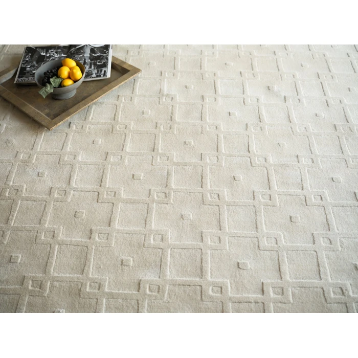 Exquisite Rugs Camora Modern Beige 67552X3 2ft.X3ft. Rect. Rug