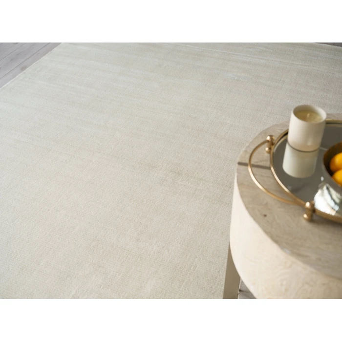 Exquisite Rugs Pavia Modern Beige 67619X12 9ft.X12ft. Rect. Rug