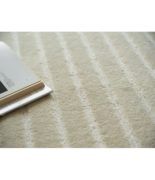 Exquisite Rugs Amani Modern Beige 67674X6 4ft.X6ft. Rect. Rug