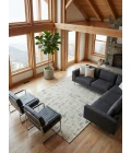 Exquisite Rugs Aspen Natural Gray/Ivory 68268X10 8ft.X10ft. Rect. Rug