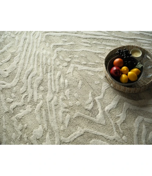 Exquisite Rugs Entro Beige/Ivory 71804X6 4ft.X6ft. Rect. Rug