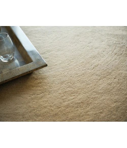 Exquisite Rugs Mitomo Light Beige/Ivory 727310X14 10ft.X14ft. Rect. Rug