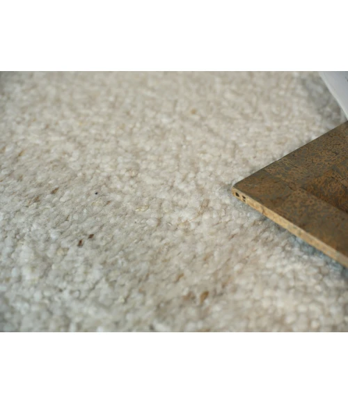 Exquisite Rugs Kokomo Ivory 73819X12 9ft.X12ft. Rect. Rug