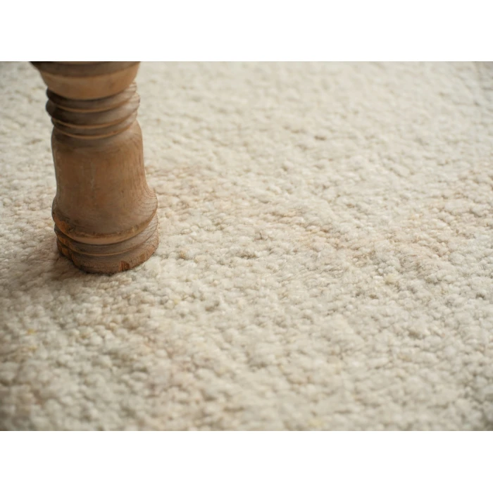 Exquisite Rugs Sunstone Ivory/Beige 74916X9 6ft.X9ft. Rect. Rug