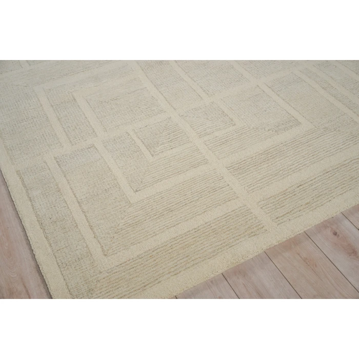 Exquisite Rugs Maddox Light Beige/Ivory 76128X10 8ft.X10ft. Rect. Rug