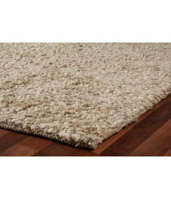Exquisite Rugs Wool Shaggy Beige 915910X14 10ft.X14ft. Rect. Rug