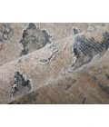 Feizy Pasha BEIGE/BLUE PAS39M7F 2 ft. X 3 ft. Rectangle Rug