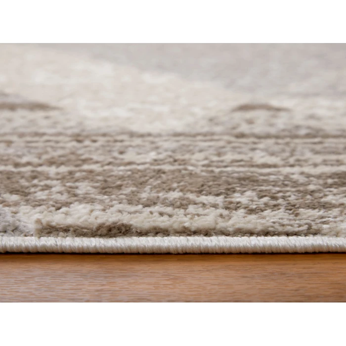 Feizy Vancouver BEIGE/BROWN VNR39NRF 4 ft. X 6 ft. Rectangle Rug