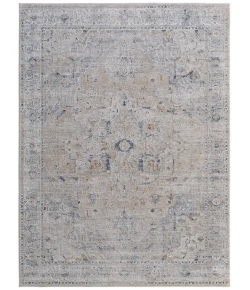 Feizy Pasha BEIGE/BLUE PAS39M5F 6 ft. 7 in. X 9 ft. 6 in. Rectangle Rug