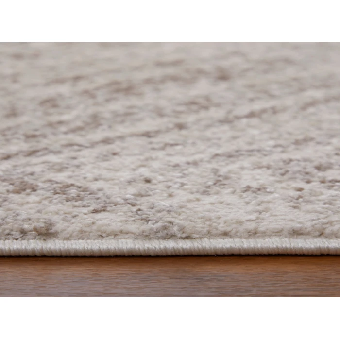 Feizy Vancouver BEIGE/BROWN VNR39NPF 2 ft. 10 in. X 7 ft. 10 in. Rectangle Rug