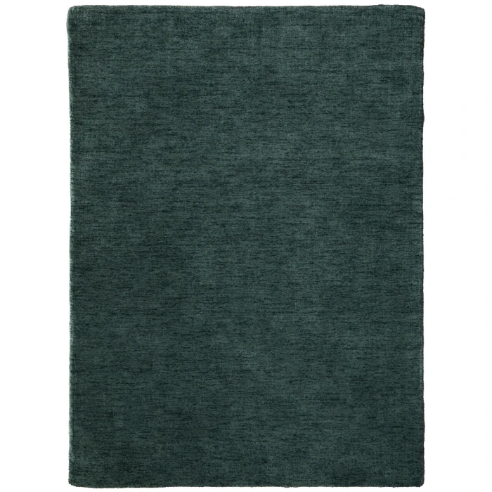 Feizy Luna GREEN 5798049F 2 ft. 6 in. X 8 ft. Rectangle Rug