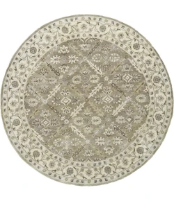 Feizy Eaton 8424F SAGE Area Rug 5 ft. X 8 ft. Rectangle