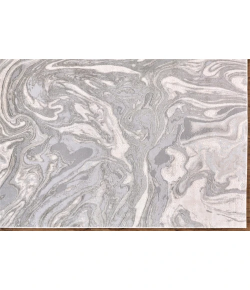 Feizy PRASAD 3894F IN LIGHT GRAY 1' 8" X 2' 10" Sample Area Rug