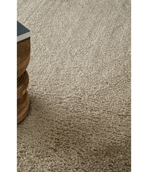 Feizy Tula Tan TLA8A98F 5ft. x 8ft. Rect. Rug