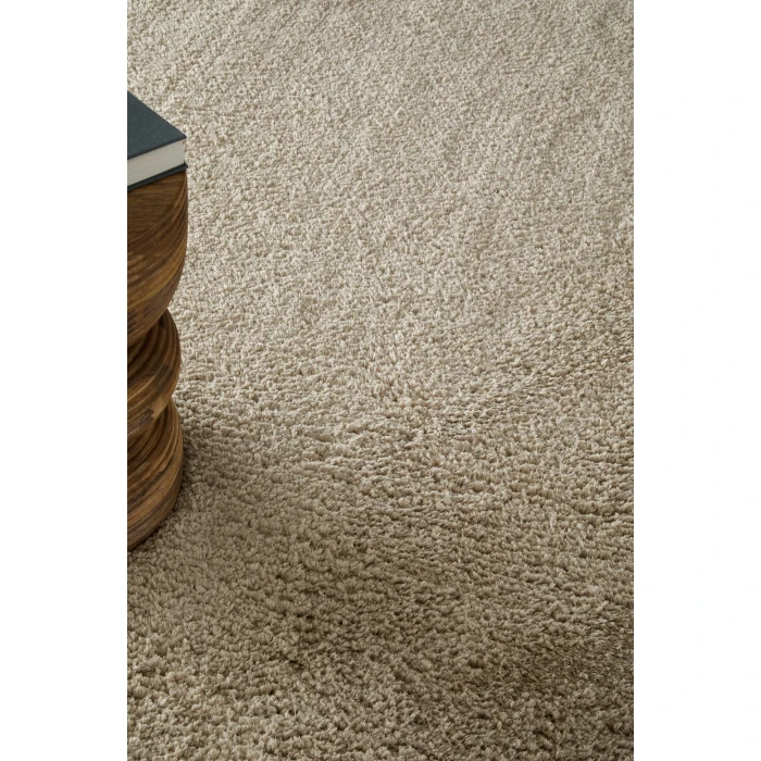Feizy Tula Tan TLA8A98F 2ft. x 3ft. Accent Rug Rug