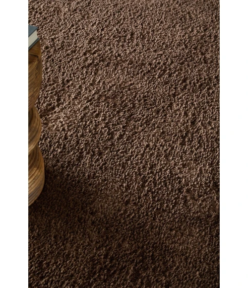 Feizy Tula Brown TLA8A98F 8ft. x 10ft. Rect. Rug