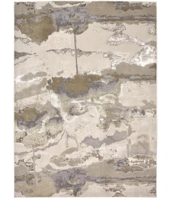Feizy Aura GOLD/GRAY AUR3737F 5 ft. X 7 ft. Rectangle Rug