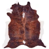 Feizy Bartlett COWHD EXOTIC/DARK Area Rug Shaped Rug