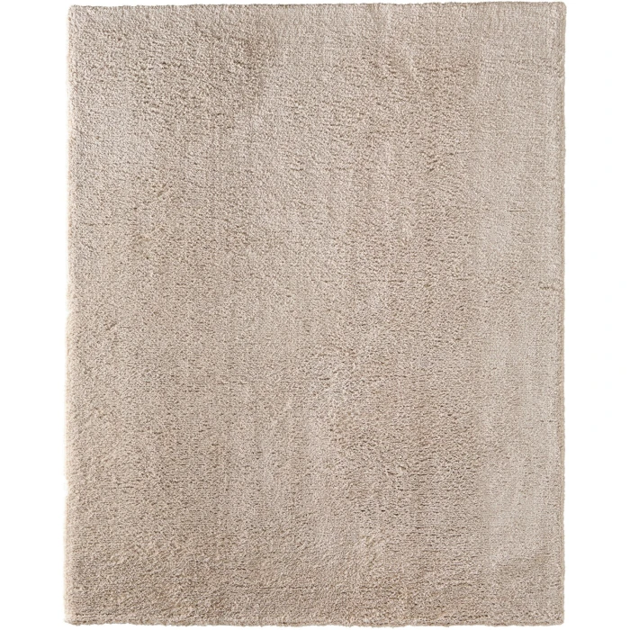 Feizy Tula Tan TLA8A98F 2ft. x 3ft. Accent Rug Rug