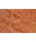 Feizy Bartlett Cabin & Lodge Animal Print, Brown, Large Shaped Rug