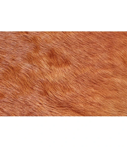 Feizy Bartlett Cabin & Lodge Animal Print, Brown, Large Shaped Rug