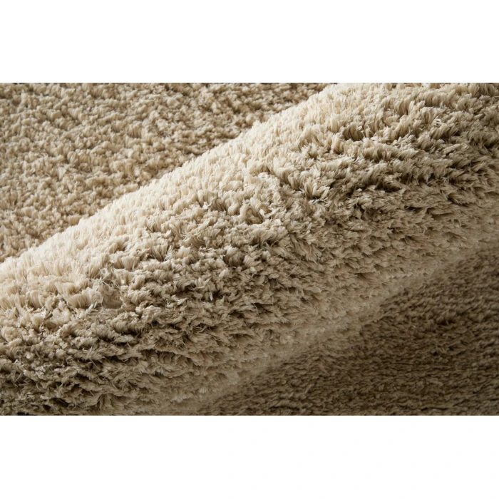 Feizy Tula Tan TLA8A98F 2ft. x 3ft. Accent Rug Rug
