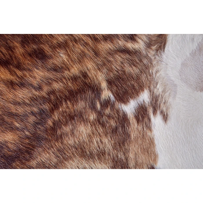 Feizy Bartlett Cabin & Lodge Animal Print, Brown/Tan/White, Small Shaped Rug