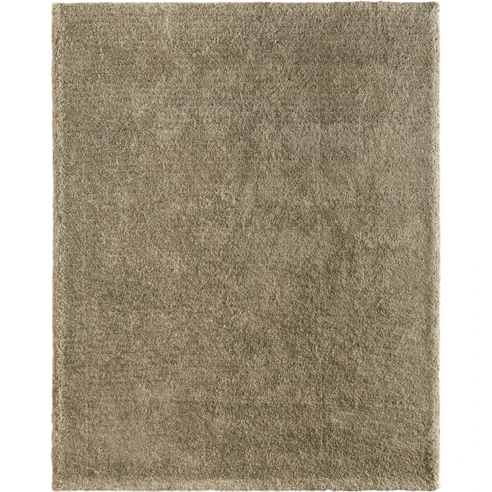 Feizy Tula Green TLA8A98F 5ft. x 8ft. Rect. Rug