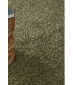 Feizy Tula Green TLA8A98F 4ft. x 6ft. Accent Rug Rug