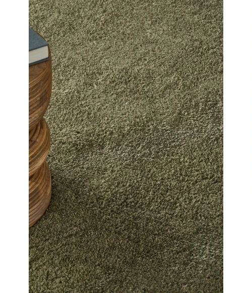 Feizy Tula Green TLA8A98F 4ft. x 6ft. Accent Rug Rug