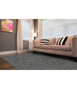 Feizy Leilani Gray 6636447F 8ft.6in. x 11ft.6in. Rect. Rug