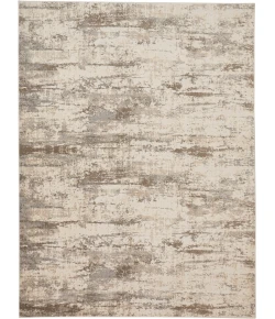Feizy Parker SILVER/BEIGE PRK3719F 9 ft. X 12 ft. Rectangle Rug