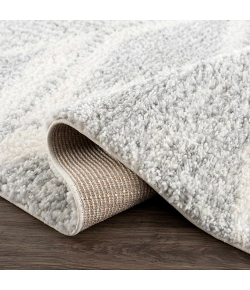 Hauteloom Gala Gray HGACGALAB31 2ft.7in. x 7ft.3in. Rect. Rug
