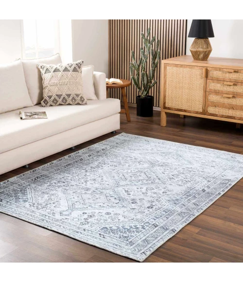Hauteloom Barny Off White SAMABARNYA2 2ft.7in. x 7ft.10in. Rect. Rug