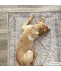 Hauteloom Analu Sand HCAHANALUA1 6ft.7in. x 9ft. Rect. Rug