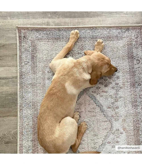 Hauteloom Analu Sand HCAHANALUA1 6ft.7in. x 9ft. Rect. Rug