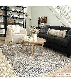 Hauteloom Barny Ivory SAMABARNYA5 8ft.10in. x 12ft. Rect. Rug