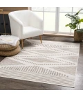 Hauteloom Tigris Vizon TGS2328 2ft.7in. x 7ft.3in. Rect. Rug