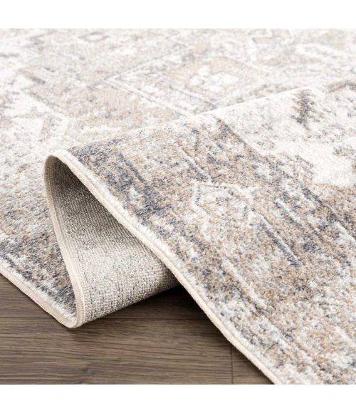 Hauteloom Hera Tan HMABHERAW25 2ft.7in. x 10ft. Rect. Rug