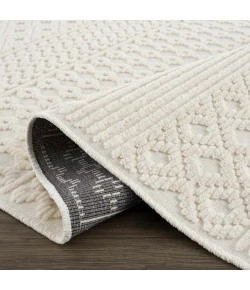 Hauteloom Drago White SLYBDRAGOA1 2ft.7in. x 7ft.2in. Rect. Rug