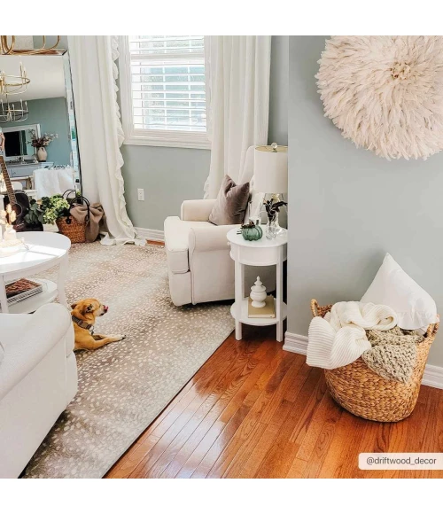 Hauteloom Pointblank PNTB 2ft.7in. x 10ft. Rect. Rug