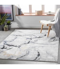 Hauteloom Fremantle Light Gray FREMA 9ft. x 12ft. Rect. Rug