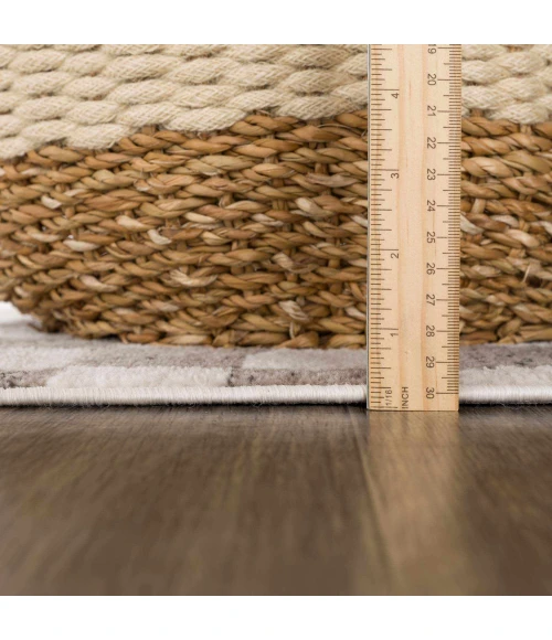 Hauteloom Benjy Cream HPTKBENJYA1 4ft. x 6ft. Rect. Rug