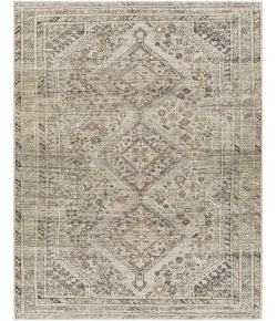 Hauteloom Barny Ivory SAMABARNYA5 8ft.10in. x 12ft. Rect. Rug